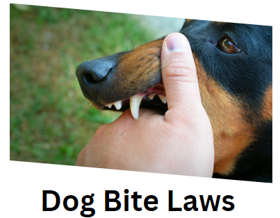Dog-bite-laws-Atlanta